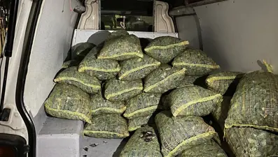 İstanbul'da kaçak midye avlayan kişiye 26 bin 242 lira ceza