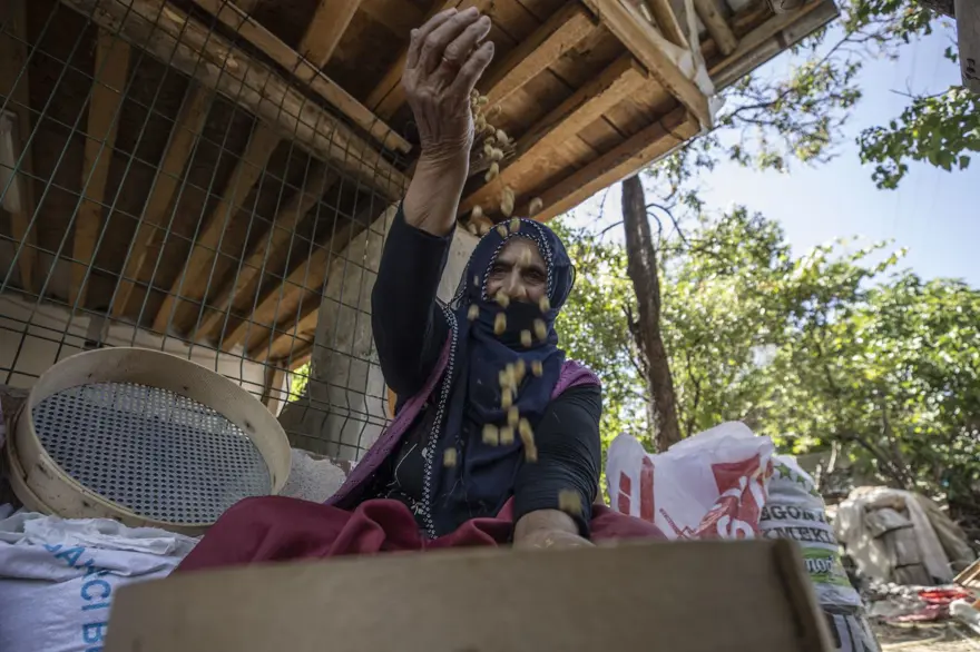 Coğrafi işaretli "Ulukale Dutu" geçim kaynağı oldu! Güneşin karşısında kurutuluyor, elekten geçirilerek hazırlanıyor 16