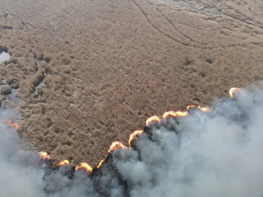 Sultan Sazlığı Milli Parkı'ndaki yangın söndürüldü 1