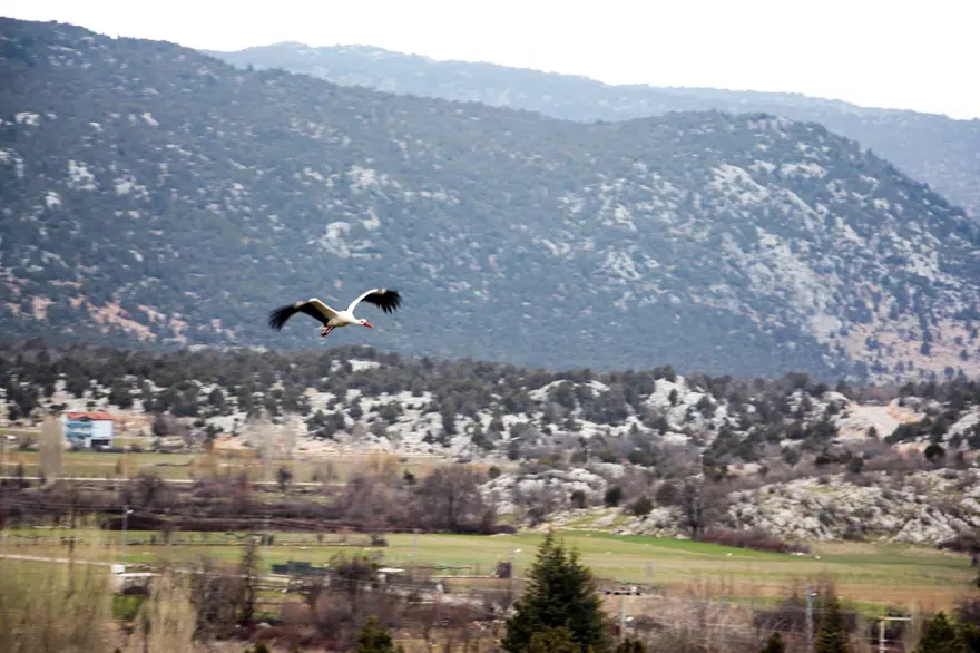 Leyleklere BBG evi Leyleklere BBG evi