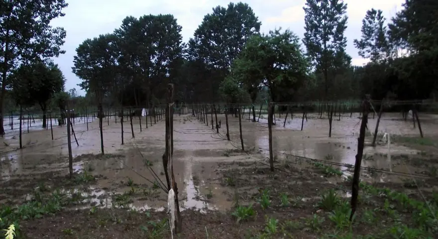 Sağanak tarım arazilerine zarar verdi 5