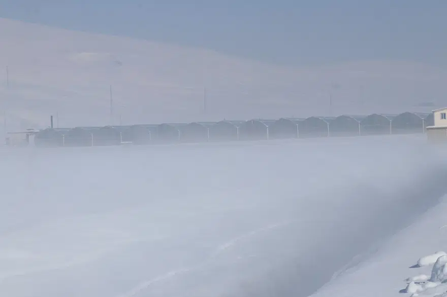 Hava sıcaklığının eksi 40'a kadar düştüğü Çaldıran'da, serada domates üretimi 8