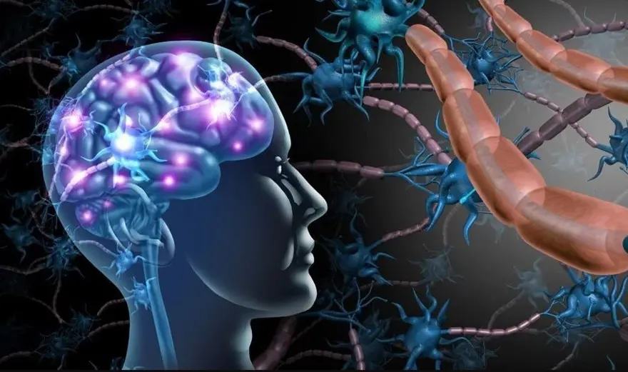 MS HASTALIĞI BELİRTİLERİ 3 MS HASTALIĞI BELİRTİLERİ 3