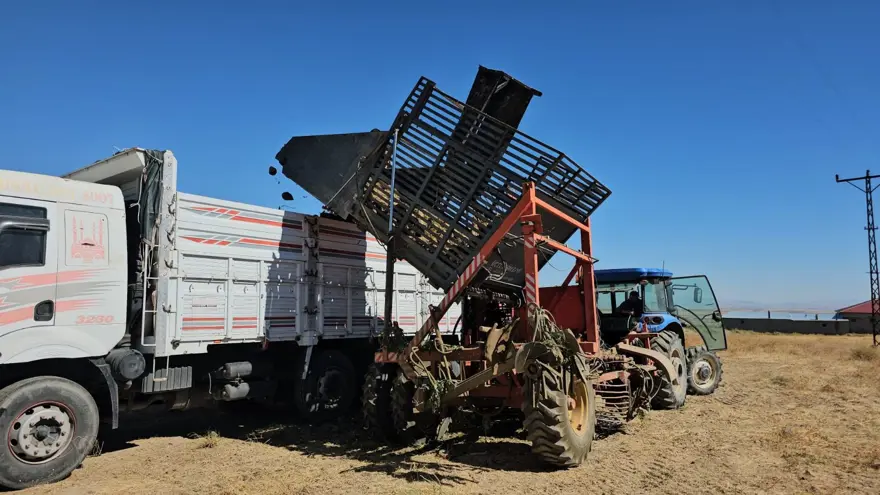 En önemli geçim kaynaklarından biri: Sabah saatlerinde sökümü başladı 4