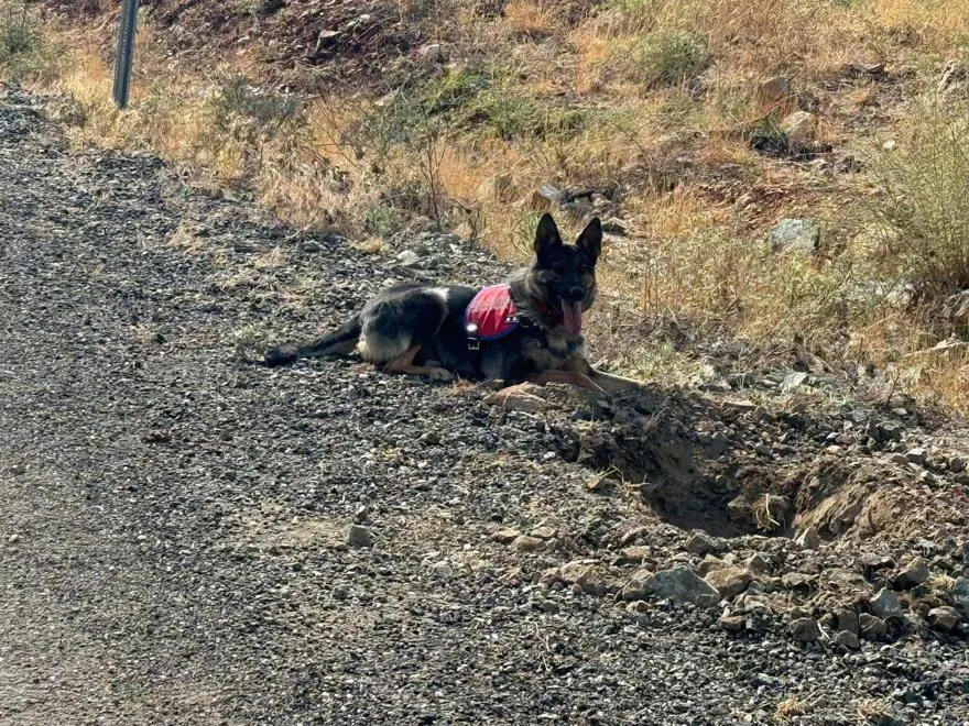 Yol kenarına tuzaklanmış: 80 kilo patlayıcı imha edildi 1