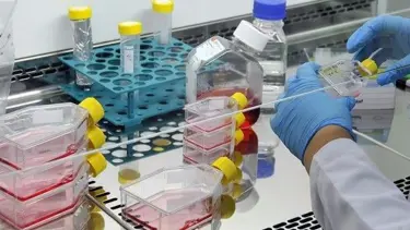 Ailesel Akdeniz Ateşi hastalığı ilacı Türkiye’de üretilecek, dünyaya umut olacak