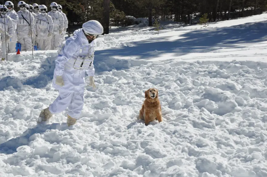 Komandoların 2 bin 200 metre rakımda, eksi 25 derecede zorlueğitimi 4 Komandoların 2 bin 200 metre rakımda, eksi 25 derecede zorlueğitimi 4