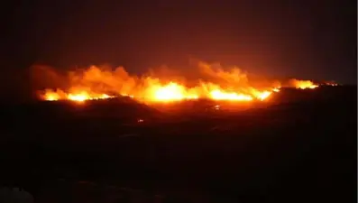 İzmir'de ormanı yakan çiftten koca tutuklandı, eşi serbest