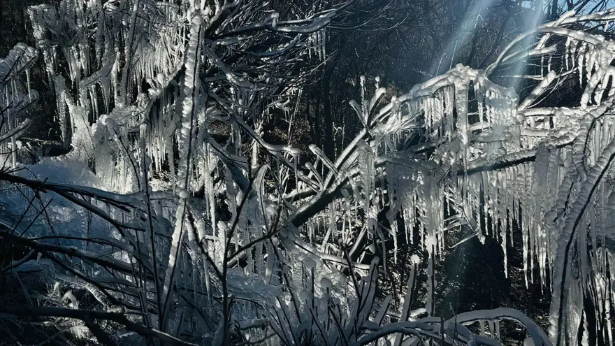 Şırnak'ta hava sıcaklığı eksi 10 dereceye düştü: Ağaçlarda buz sarkıtları oluştu 1