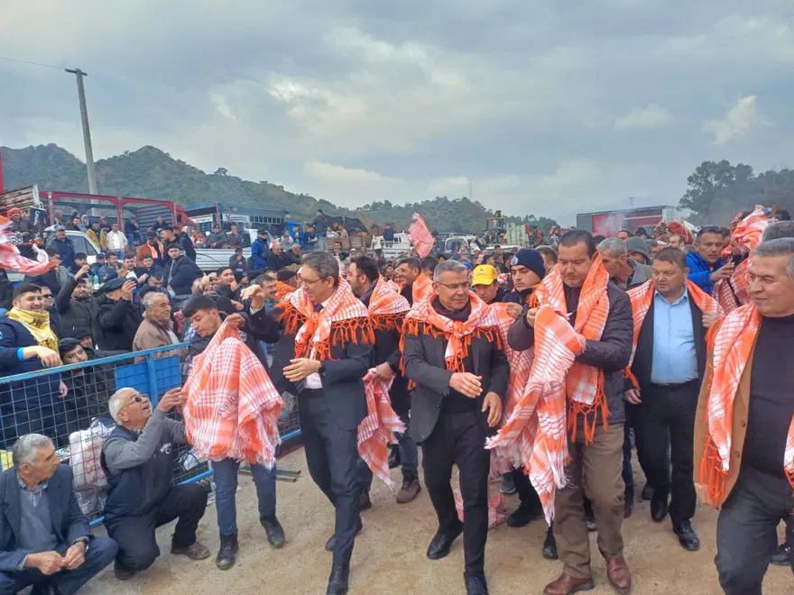 Pehlivan develer arenada kozlarını paylaştı 3