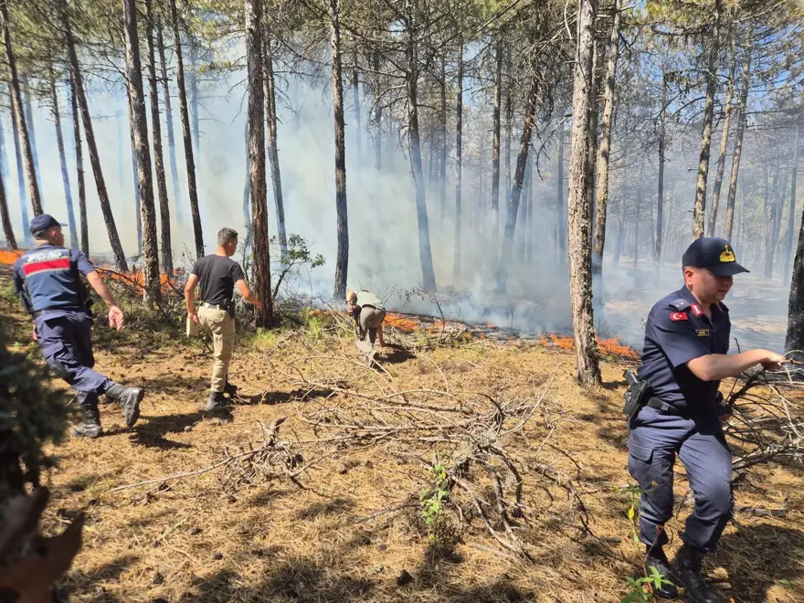 Eskişehir, Bilecik Osmaneli ve Urla yangını kontrol altında 3 Eskişehir, Bilecik Osmaneli ve Urla yangını kontrol altında 3
