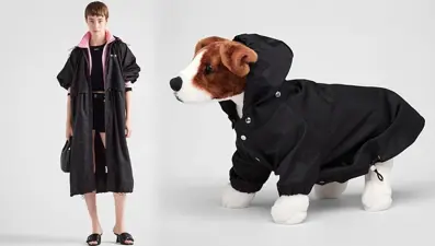 Prada'dan 13 bin TL'ye köpek yağmurluğu