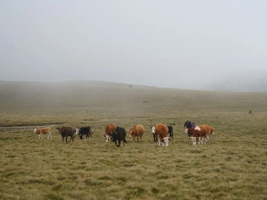 “SEVMESEM YAPAMAZDIM” 5
