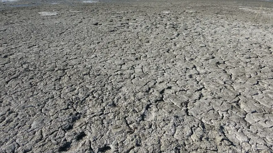 Son 30 yılda büyük çekilme yaşadı: Her geçen yıl biraz daha küçülüyor 5