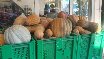 35 kiloya ulaştı: Kimyasal kullanmadan doğal yöntemle ürettiler