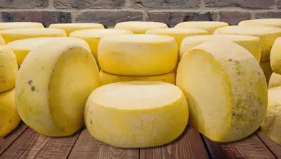 Malkara eski kaşarı tescil yolunda