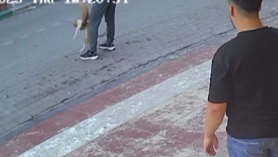 Samsun'da kediye Heimlich manevrası yaptı