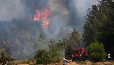 İzmir'de orman yangını: Bornova'daki alevler kontrol altında