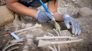 Endonezya'dan Japonya'ya kemik iadesi: 2. Dünya Savaşı'ndaki askerlere ait olduğu düşünülüyor