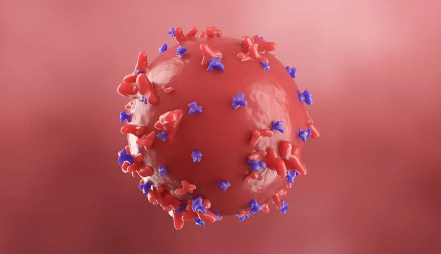 ÜÇÜNCÜ DOZUN ÖNEMİNE VURGU 13