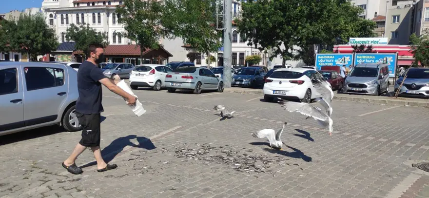 Müsilaj martılara yaradı! 4