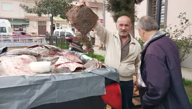 Kaçak avlanan 200 kalkan balığı vatandaşlara dağıtıldı