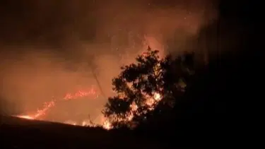 Sarıyer'de orman yangını