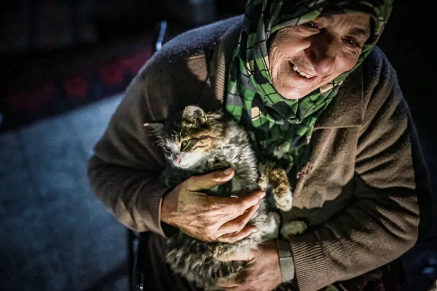 İdlib'de savaş mağduru kadın kedilerinden vazgeçmiyor İdlib'de savaş mağduru kadın kedilerinden vazgeçmiyor