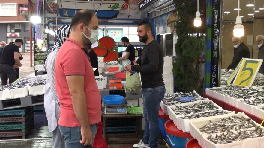 Rize’de kilo fiyatı 5 TL’ye düşen istavrit, kasayla satılıyor 9 Rize’de kilo fiyatı 5 TL’ye düşen istavrit, kasayla satılıyor 9