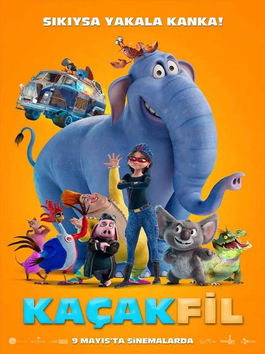 KAÇAK FİL 8 KAÇAK FİL 8