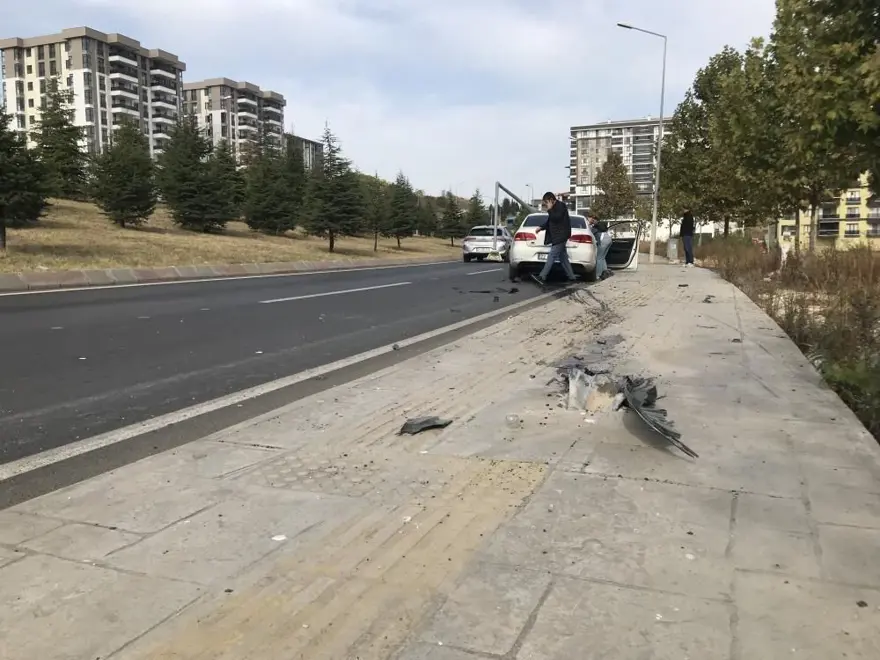 Otomobile giren sinek kazaya neden oldu 