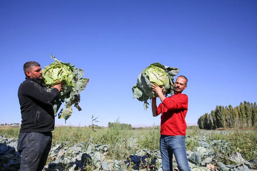 KENT EKONOMİSİNE ÖNEMLİ KATKI 2
