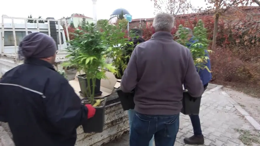 Apartman dairesini esrar bahçesine çevirmişler 6