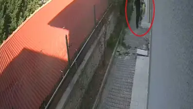 Sahiplendiği köpekleri evde parçalayıp öldüren doktor tutuklandı