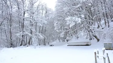 Kırklareli'nin yüksek kesimlerinde kar etkili oluyor