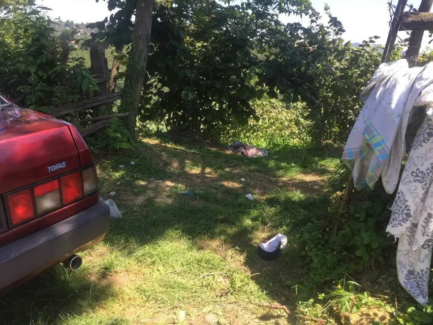 Kardeşlerin miras kavgasında kan aktı: 2 ölü, 2 ağır yaralı 3