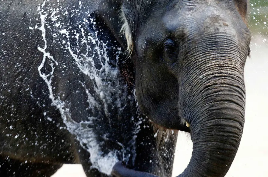 Sıcakta böyle serinliyorlar 11 Sıcakta böyle serinliyorlar 11