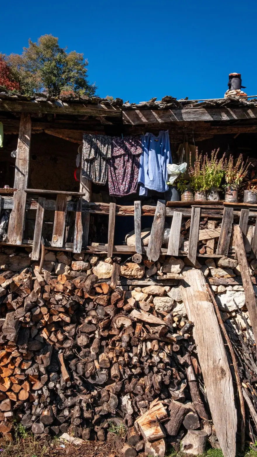 Kurt saldırıları nedeniyle terk edilen köye turist yağıyor 3 Kurt saldırıları nedeniyle terk edilen köye turist yağıyor 3