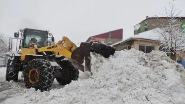 Karlıova'da kapanan 30 köy yolu ulaşıma açıldı