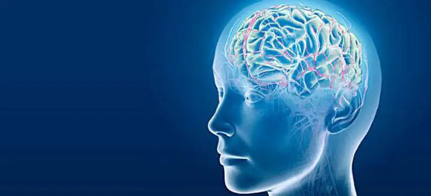 1- Folik asit hafızayı güçlendiriyor 1