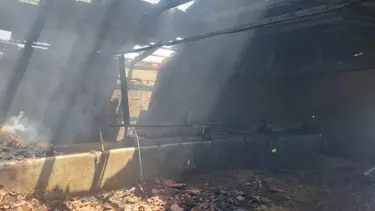 Samanlıkta yangın çıktı! Tütün, buğday ve samanlar kül oldu