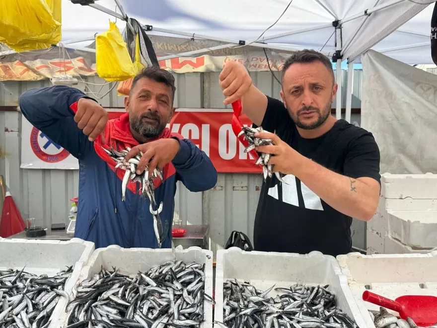 Kilosu 70 liraya kadar düştü, tezgahlar şenlendi: Dün de bol, bugün de daha bol 