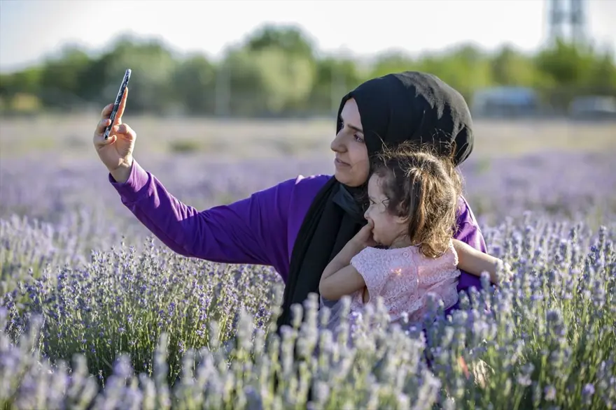 Diyarbakır'ın yeni cazibe merkezi: Lavanta bahçeleri 7