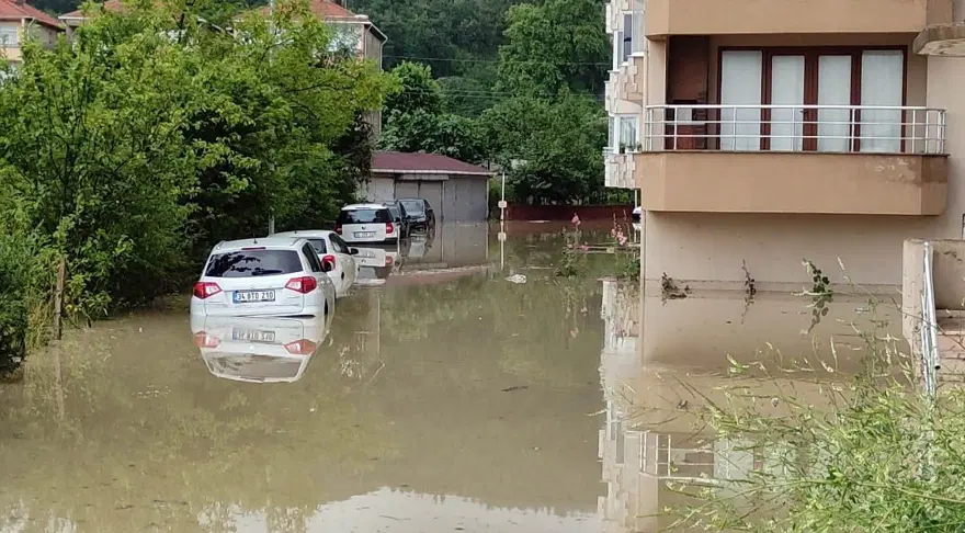 KASTAMONU 54 KASTAMONU 54