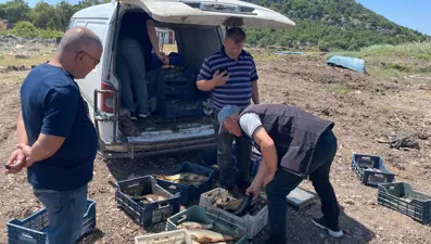 Yasak kalktı, denetimler sıkılaştı