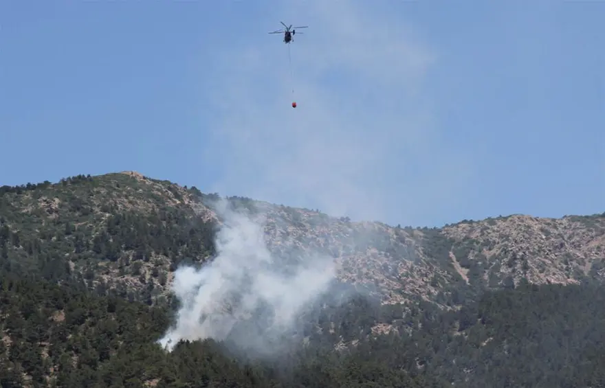 Uyuşturucu tacirleri ormanı yaktı 5 Uyuşturucu tacirleri ormanı yaktı 5
