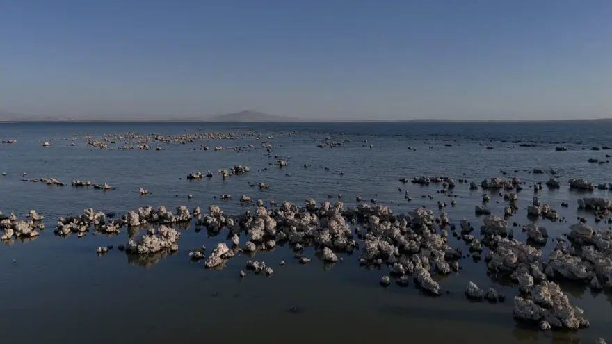 Van Gölü'nde endişelendiren görüntü 1 Van Gölü'nde endişelendiren görüntü 1