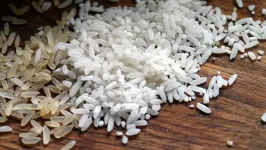 Pirinç üreticilerine büyük destek