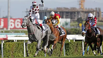 Gazi şampiyonu Graystorm bu akşam Dubai'de koşuyor