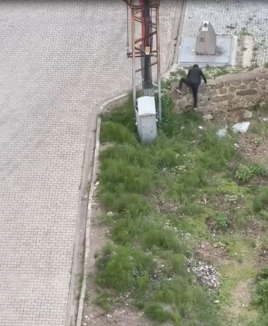 Trabzon’davahşet: Yavru kediyi ezerek öldürdü, defalarca tekmeleyip fırlattı 1